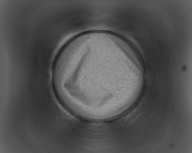 X0000095541416200801041259