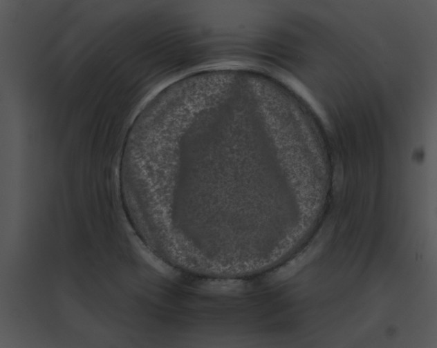 X0000095541417200801041259