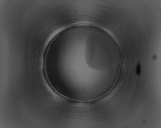 X0000095541418200801041259