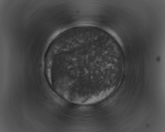 X0000095541419200801041259