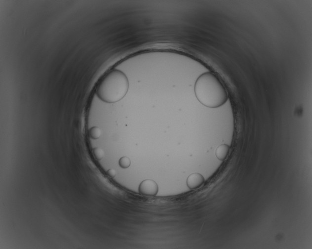 X0000095541420200801041259