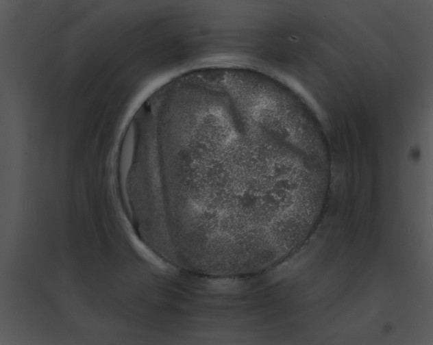 X0000095541421200801041259