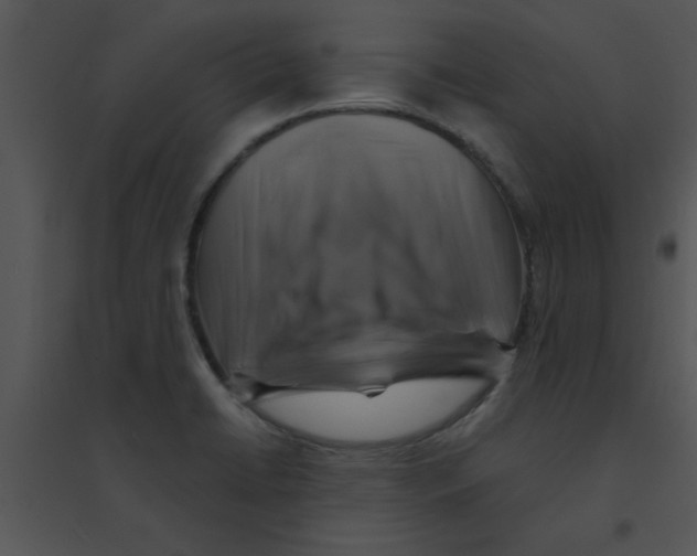 X0000095541422200801041259