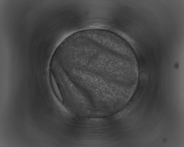 X0000095541423200801041259