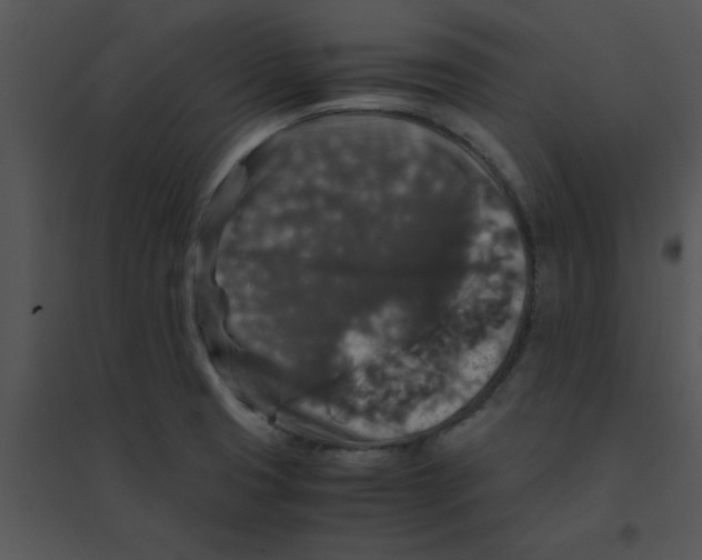 X0000095541425200801041259