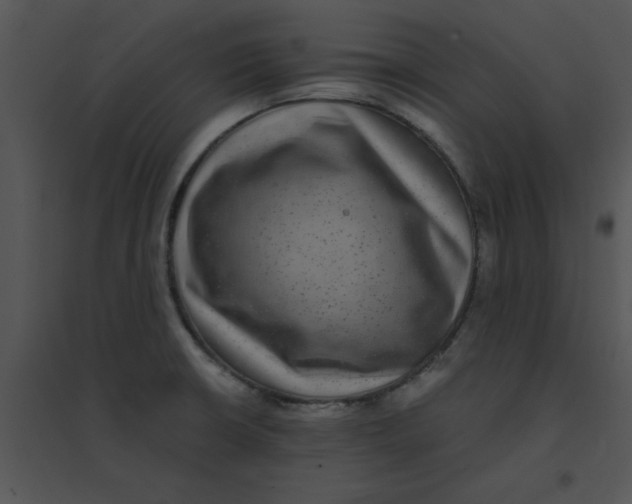 X0000095541426200801041259