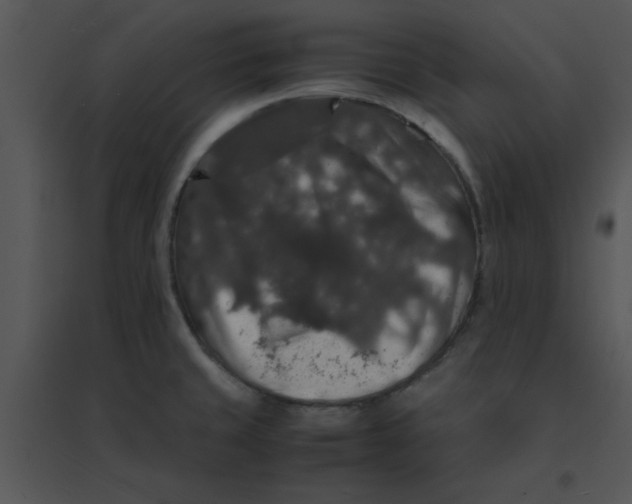 X0000095541429200801041259