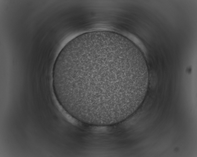 X0000095541431200801041259