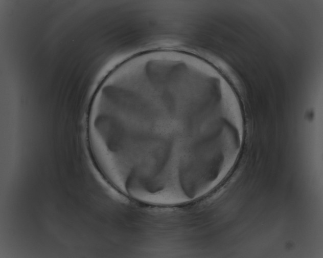 X0000095541432200801041259