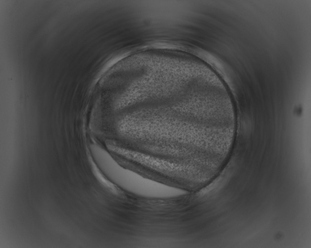 X0000095541433200801041259