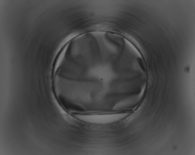 X0000095541434200801041259