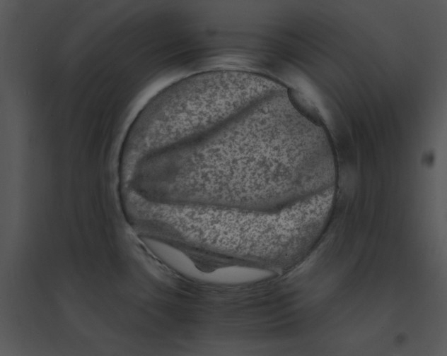 X0000095541435200801041259