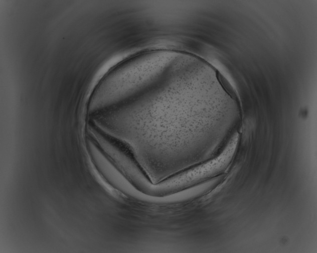 X0000095541437200801041259