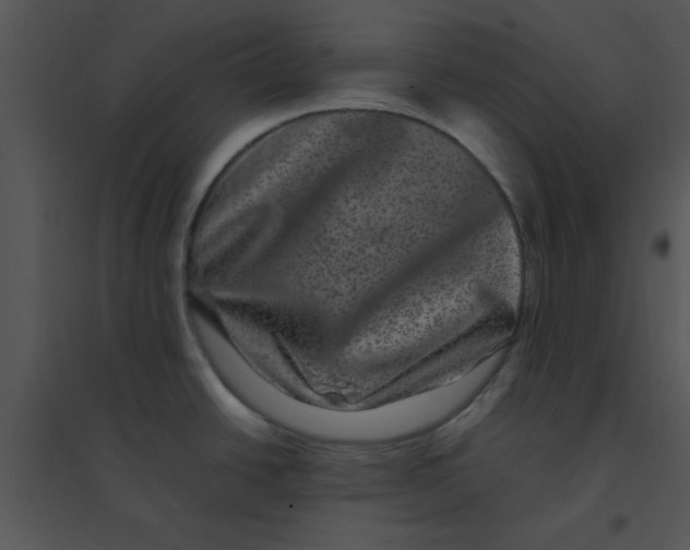 X0000095541438200801041259