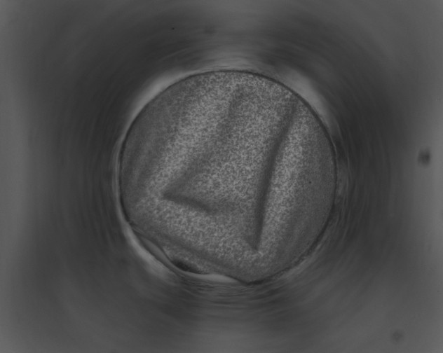 X0000095541439200801041259