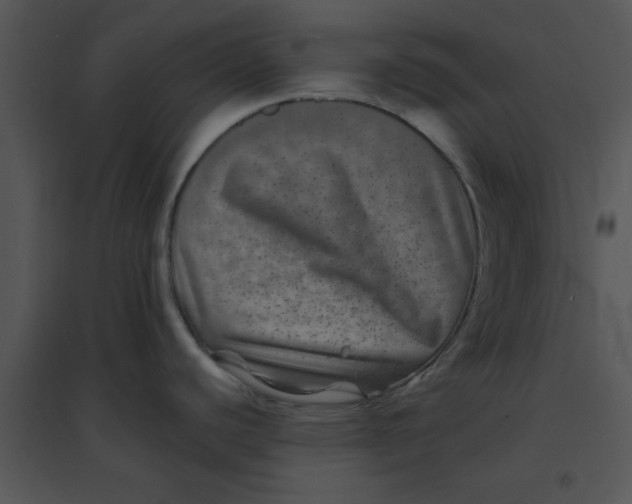 X0000095541440200801041259