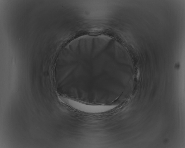 X0000095541441200801041259