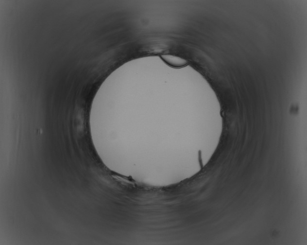 X0000095541442200801041259