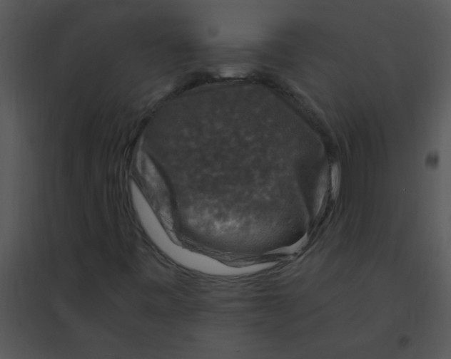 X0000095541443200801041259