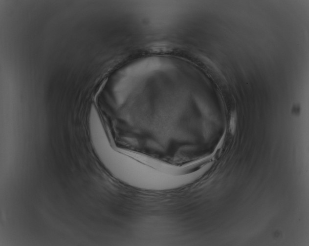 X0000095541444200801041259