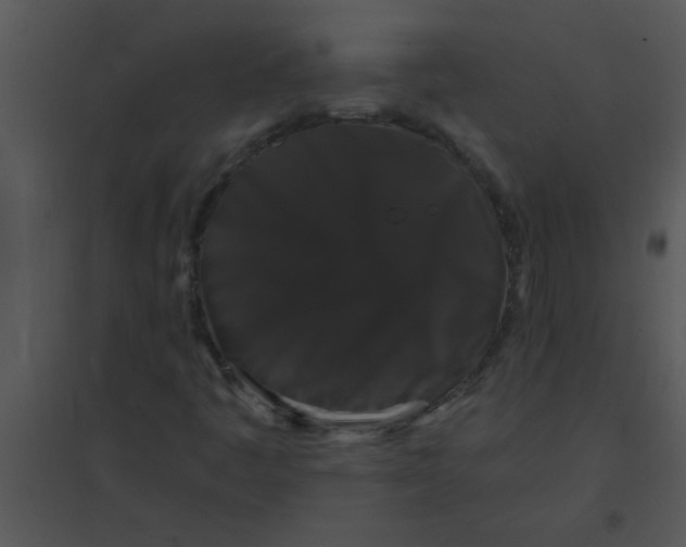 X0000095541445200801041259