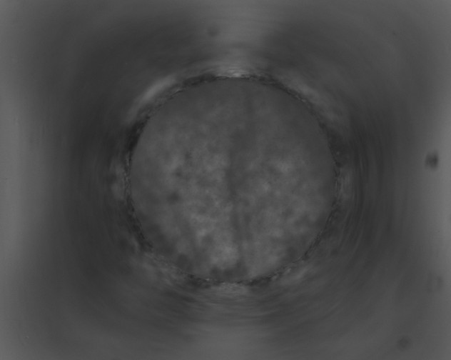 X0000095541446200801041259