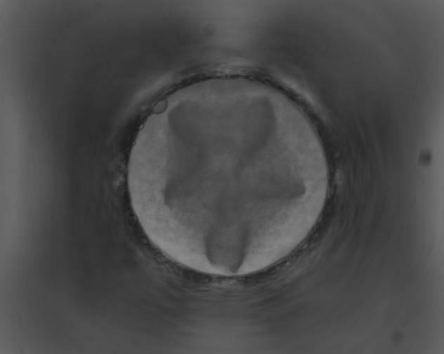 X0000095541447200801041259