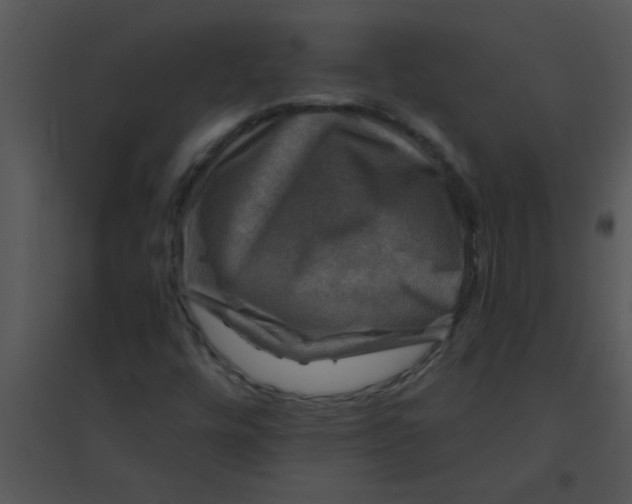 X0000095541448200801041259