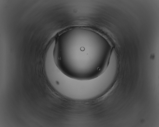 X0000095541449200801041259