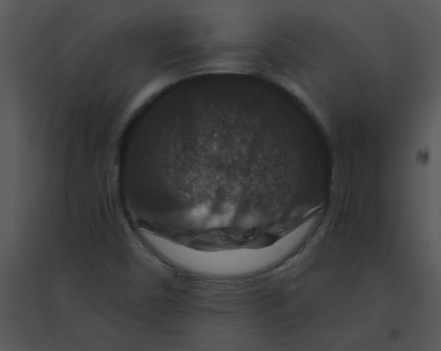 X0000095541450200801041259