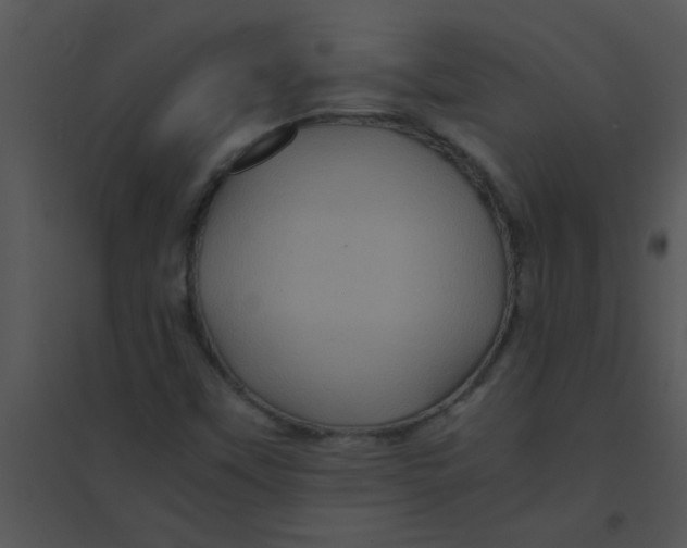 X0000095541451200801041259