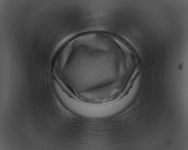 X0000095541452200801041259