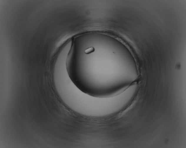 X0000095541453200801041259