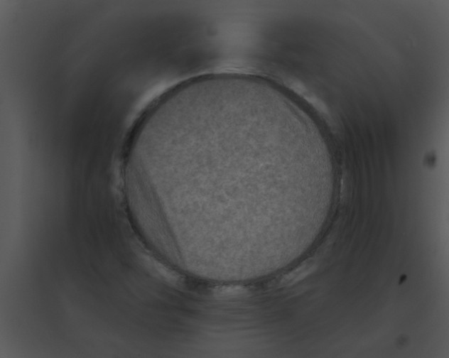 X0000095541454200801041259