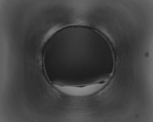 X0000095541455200801041259