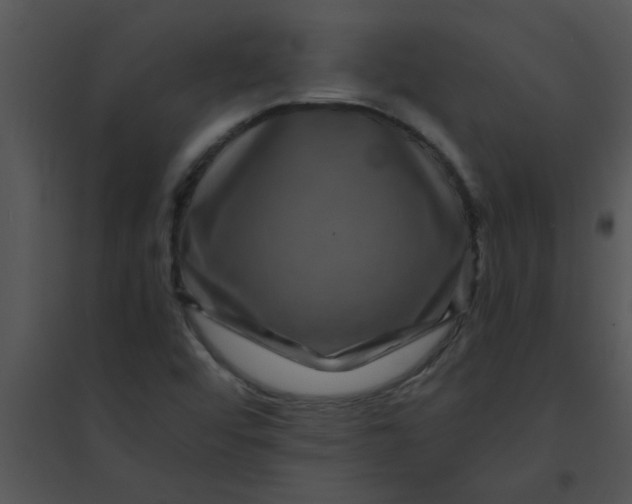 X0000095541456200801041259