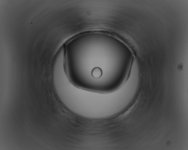 X0000095541457200801041258