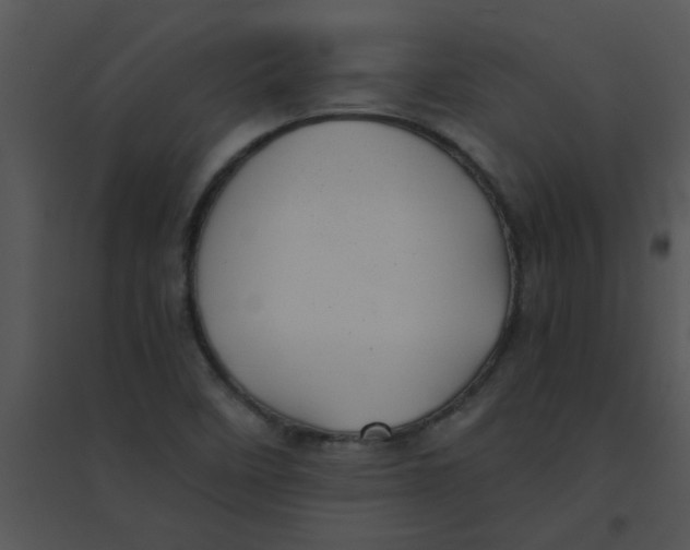 X0000095541458200801041258