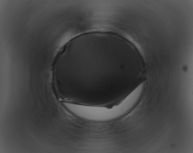 X0000095541459200801041258