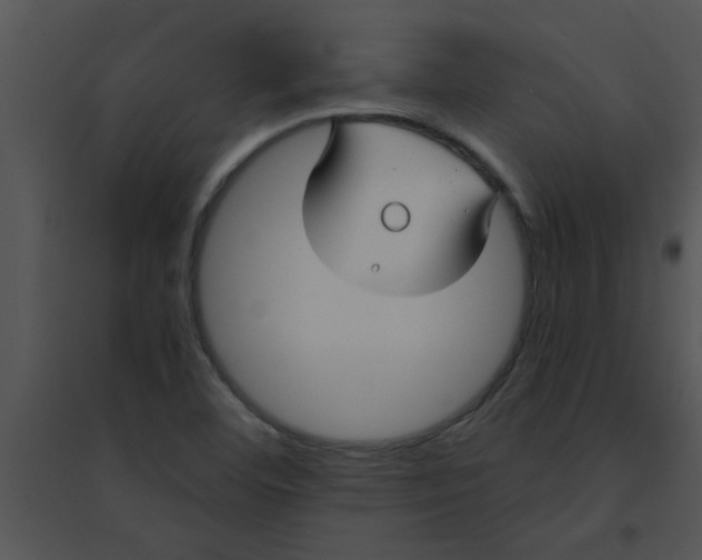 X0000095541460200801041258