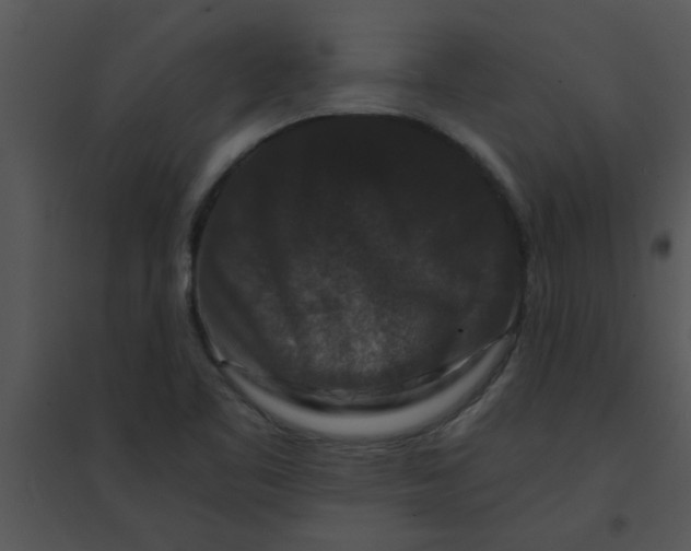 X0000095541461200801041258