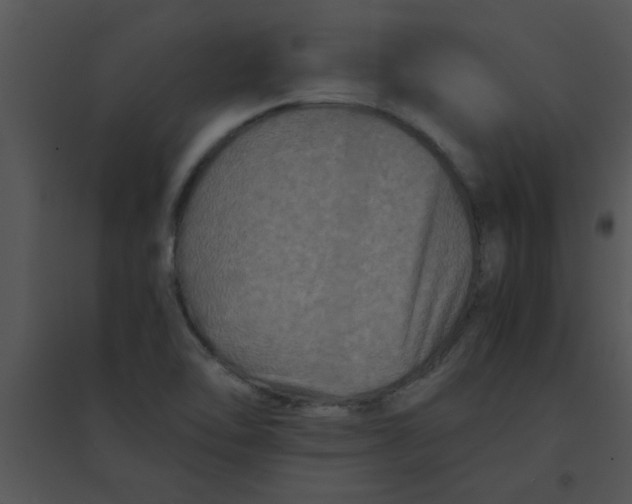 X0000095541462200801041258