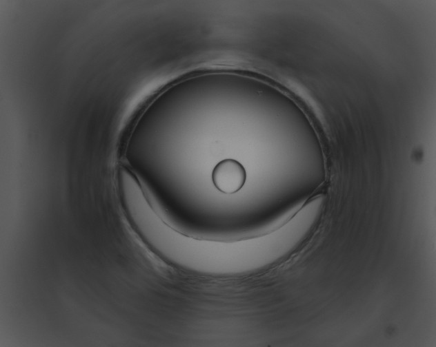 X0000095541464200801041258