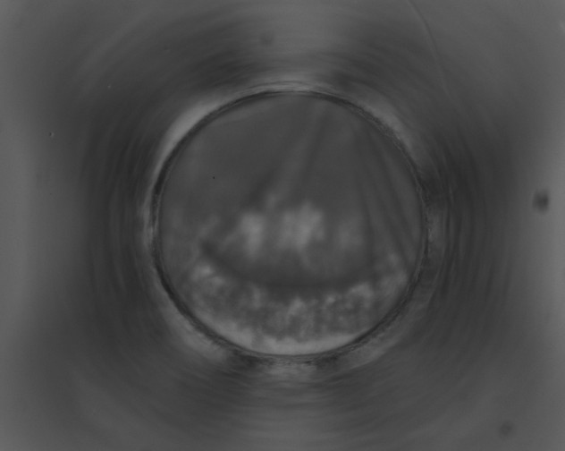 X0000095541466200801041258