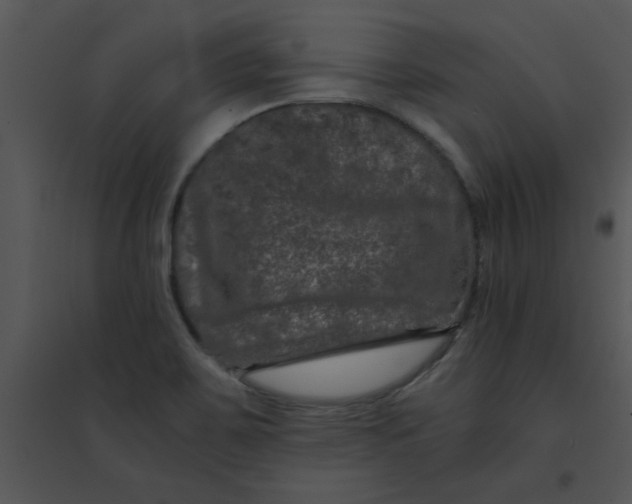 X0000095541467200801041258