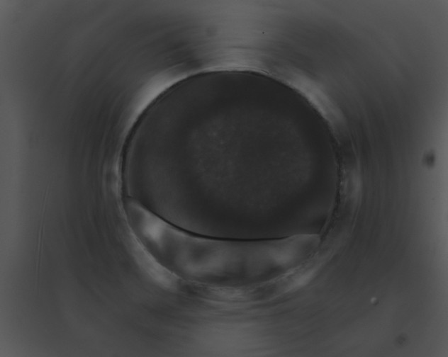 X0000095541468200801041258