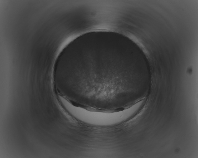 X0000095541469200801041258