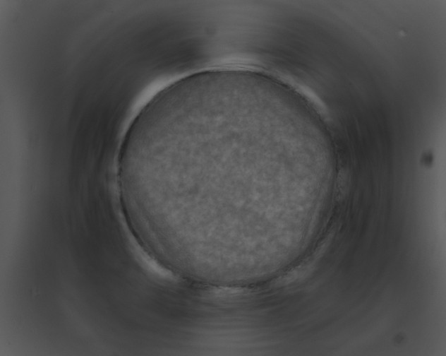 X0000095541470200801041258