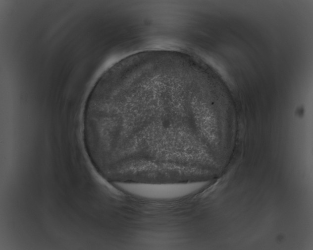 X0000095541471200801041258