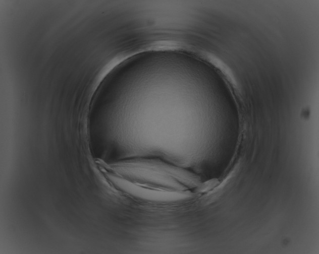 X0000095541473200801041258